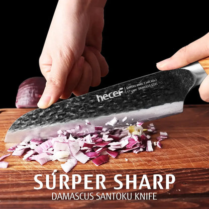 Hecef Japanese Chef Knife, Forged 67-Layer Damascus Steel Ultra Sharp Professional Hammered Carving Knife