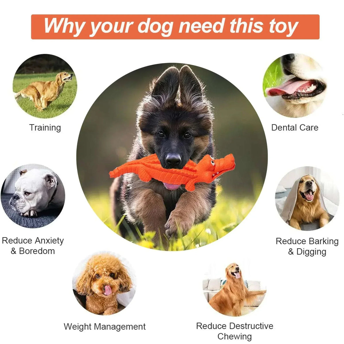 Pet Deluxe Squeaky Dog Toys for Aggressive Chewers, Durable Dog Toys Natural Rubber, Interactive Tough Dog Chew Crocodile Toy Teeth Cleaning for Medium Large Dogs