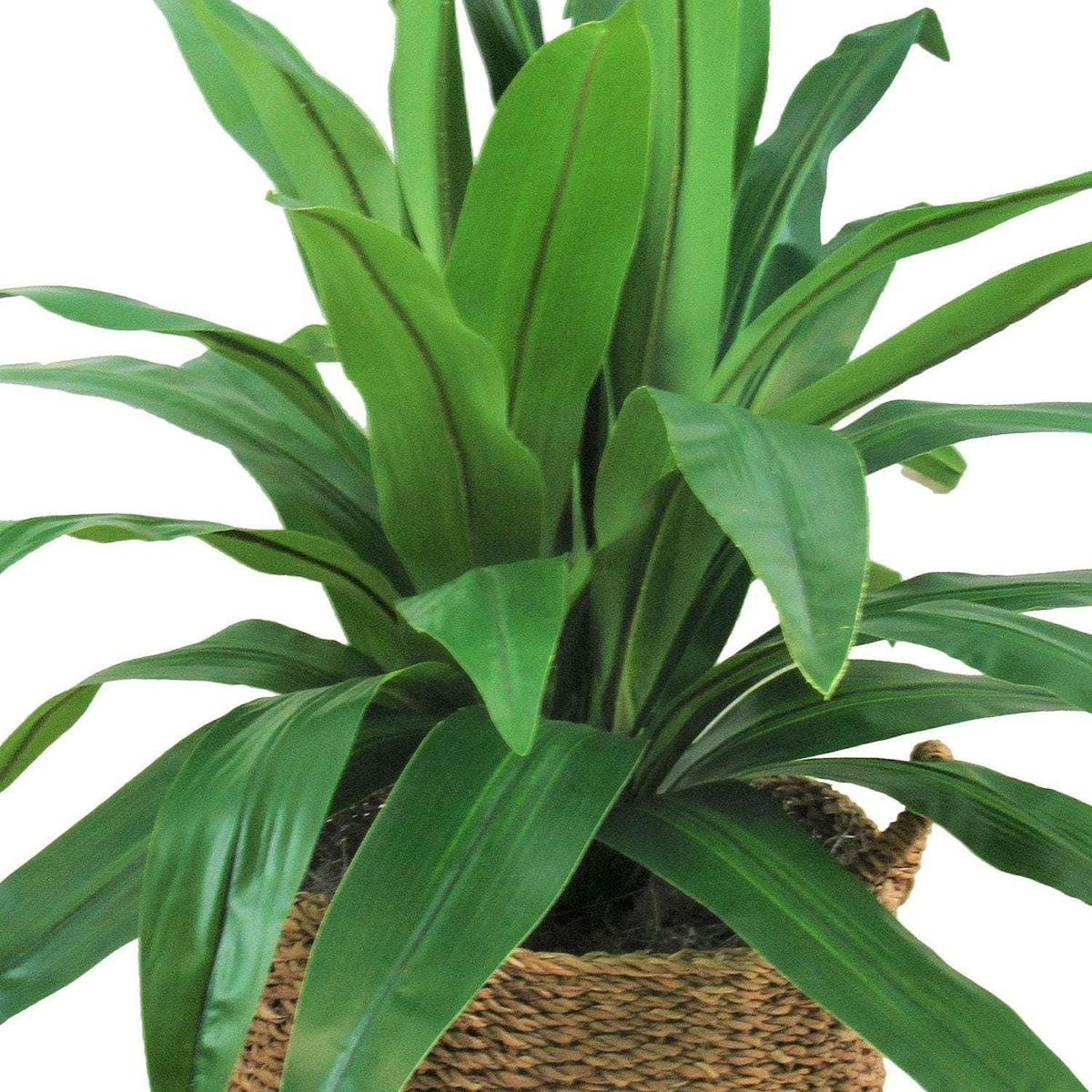 Faux 42" Dracaena in Handwoven Boho-Style Basket