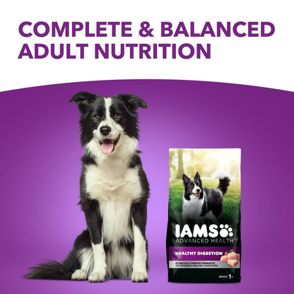 Iams Advanced Health Healthy Digestion Adult Dry Dog Food With Real Chicken