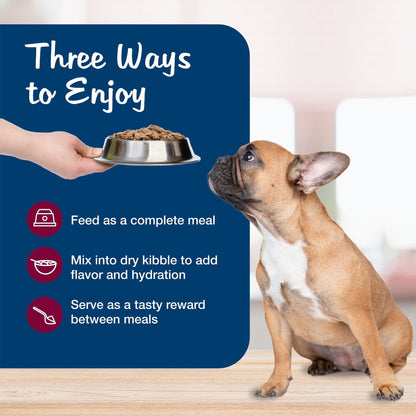 Blue Buffalo Blue's Stew Grain-Free Wet Dog Food, Hearty Beef Stew, 12.5-oz. Can