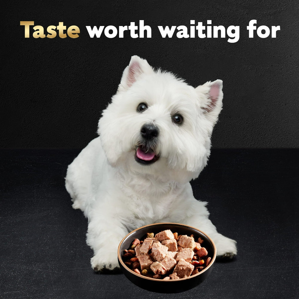 (24 pack) Cesar Classic Loaf In Sauce Chicken And Liver Recipe Wet Dog Food, 3.5 Oz Tray