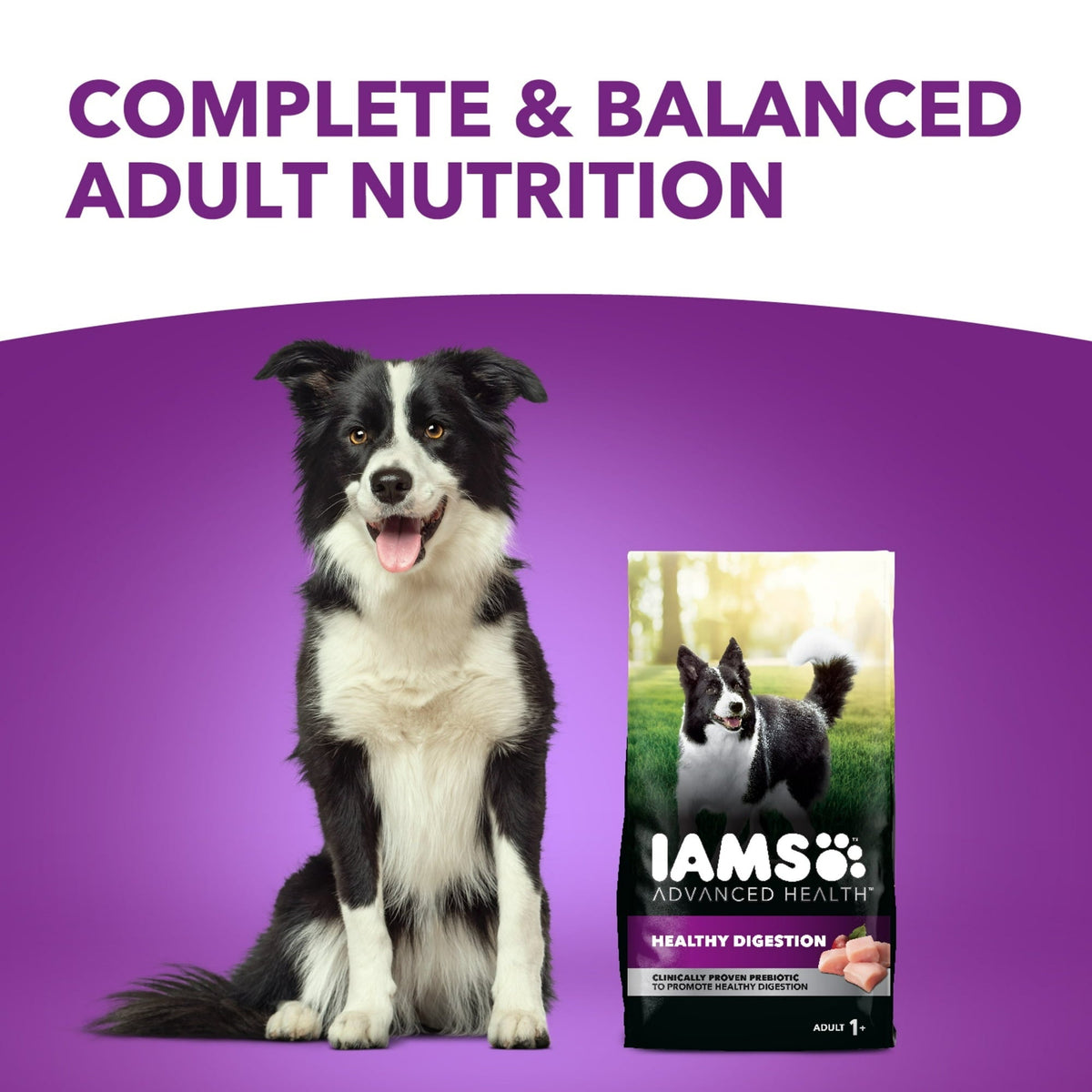 Iams Advanced Health Healthy Digestion Adult Dry Dog Food With Real Chicken