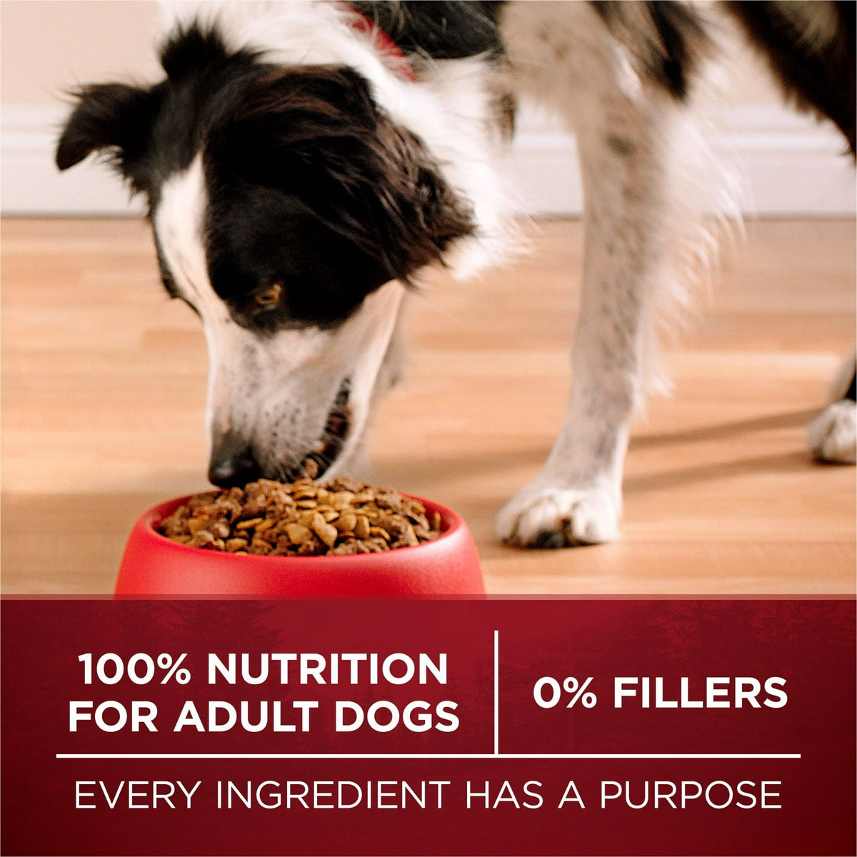 Purina ONE True Instinct High Protein Dry Dog Food for Adult Dogs, Muscle Support, Salmon & Tuna, 15 lb Bag