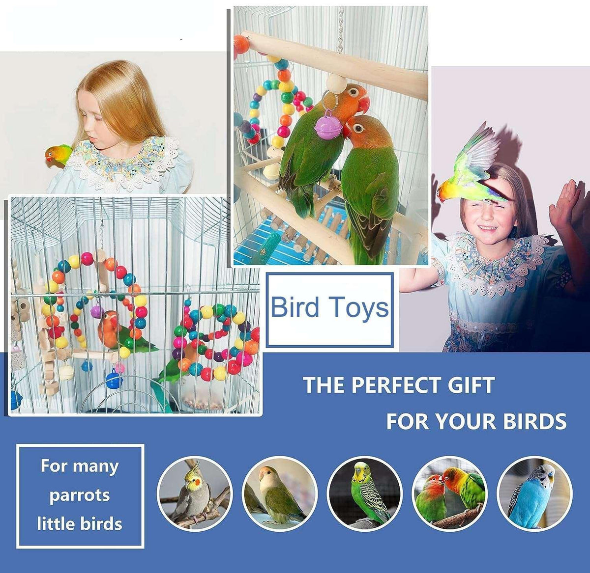 6 PCS Bird Toys Parakeet Toys,Dinosam Colorful Parrot Toy for Small Parakeets Cockatiels Conures Finches Swing Chewing Hanging Bell Cage Hammock Toy