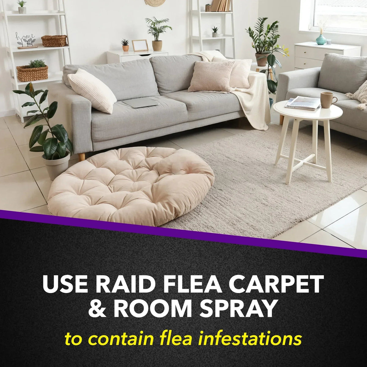 Raid Flea Killer Plus Carpet & Room Spray, Bug Spray Kills Fleas & Flea Eggs, 16 oz
