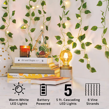 BrightSide LED Cascading Curtain Vine Indoor Lights, Warm White, 3.5ft W x 5ft H