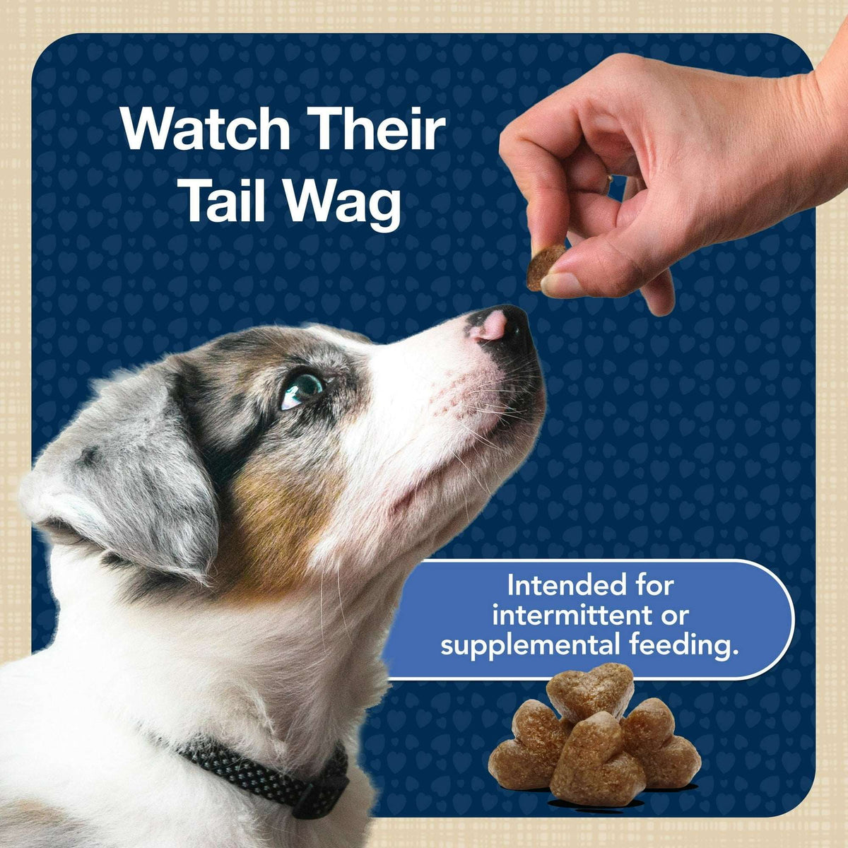 (4 pack) Blue Buffalo Bits Soft Dog Treats for Training, Enhanced with DHA, 4-oz. Bag