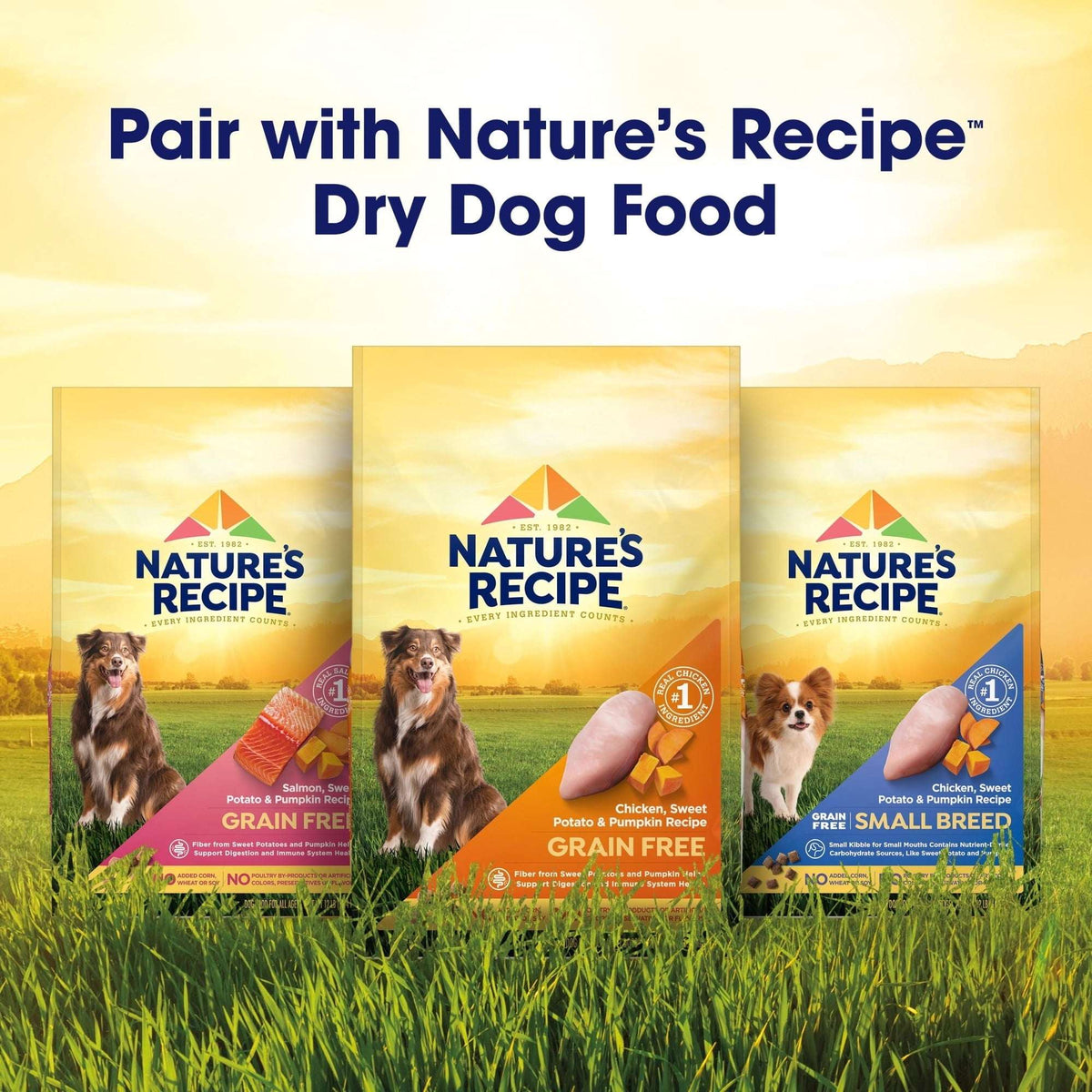 (12 pack) Nature's Recipe Grain Free Chicken & Lamb in Savory Broth Wet Dog Food, 2.75 oz Cup