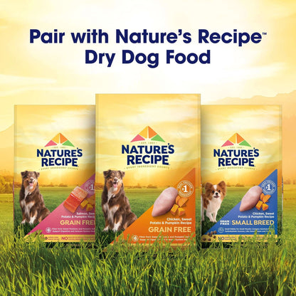 (12 pack) Nature's Recipe Grain Free Chicken & Lamb in Savory Broth Wet Dog Food, 2.75 oz Cup