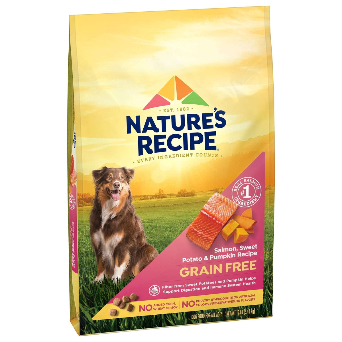 Nature's Recipe Grain Free Salmon, Sweet Potato & Pumpkin Dry Dog Food