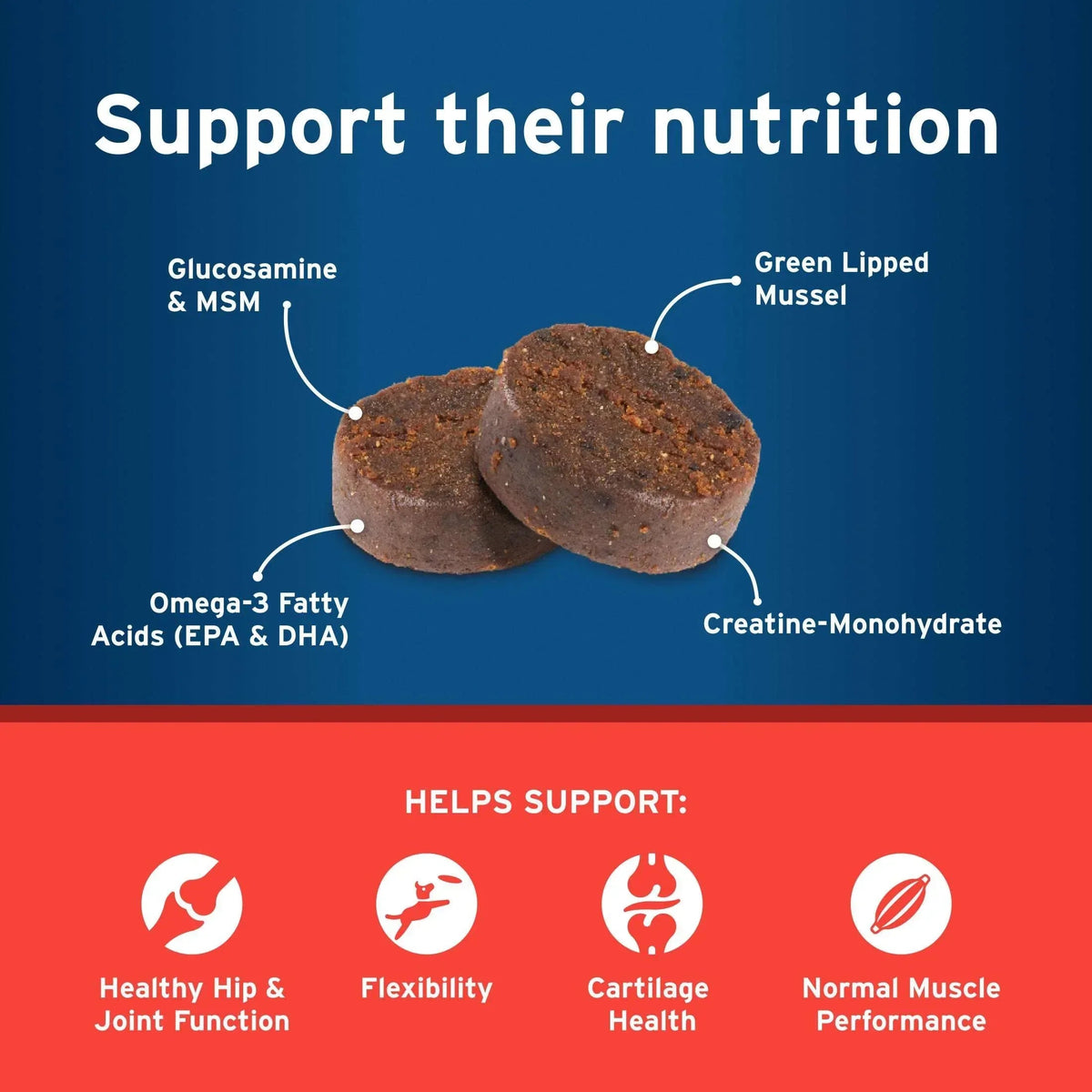 Pet Protect Dog Hip & Joint Supplement, Vet-Formulated Synovi G3, Chicken, 60 Soft Chews
