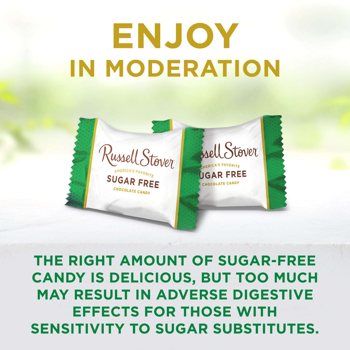 RUSSELL STOVER Sugar Free Pecan Delight Chocolate Candy, 10 oz. bag