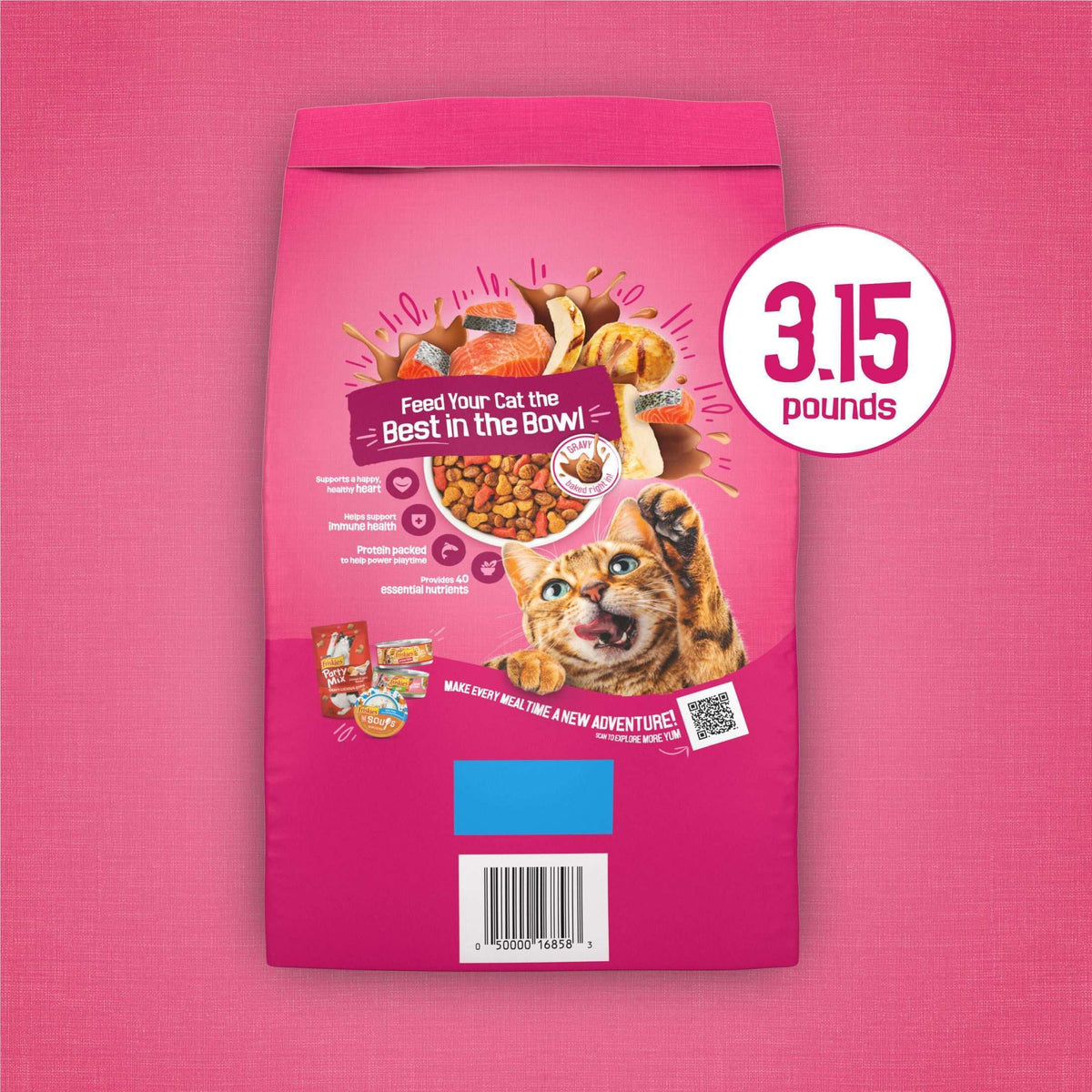 Purina Friskies Gravy Swirlers Dry Cat Food Flavors of Chicken, Salmon and Gravy, 3.15 lb. Bag
