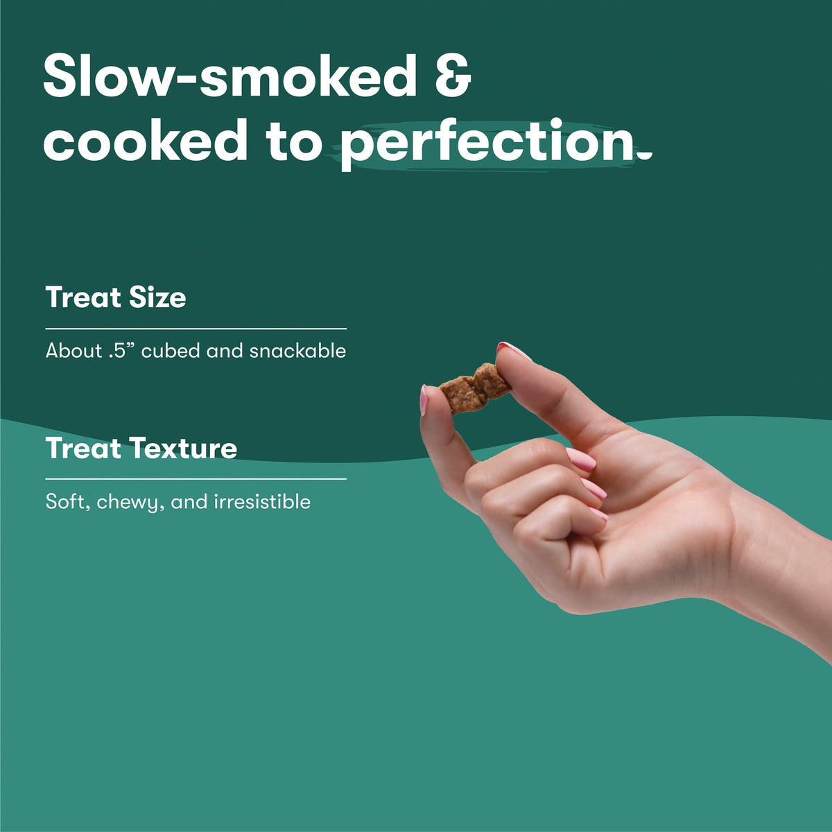 Jinx Chicken Bites, Natural Soft Jerky Dog Treats, 15 oz Bag