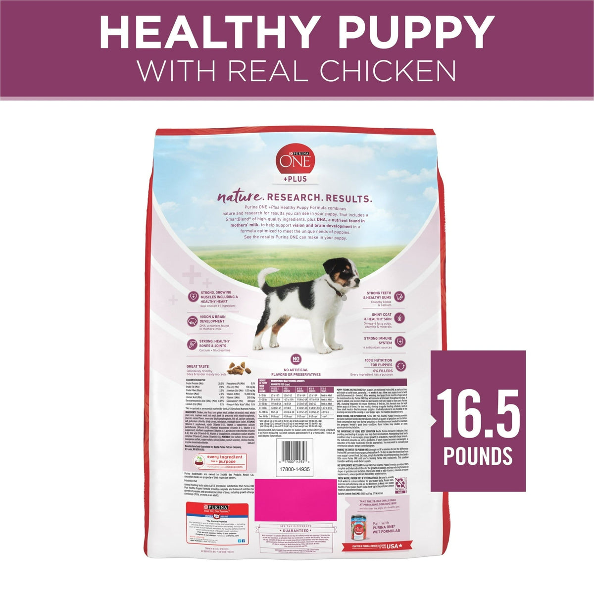 Purina ONE Plus Healthy Puppy Dry Dog Food, High Protein Growth Support with Real Chicken
