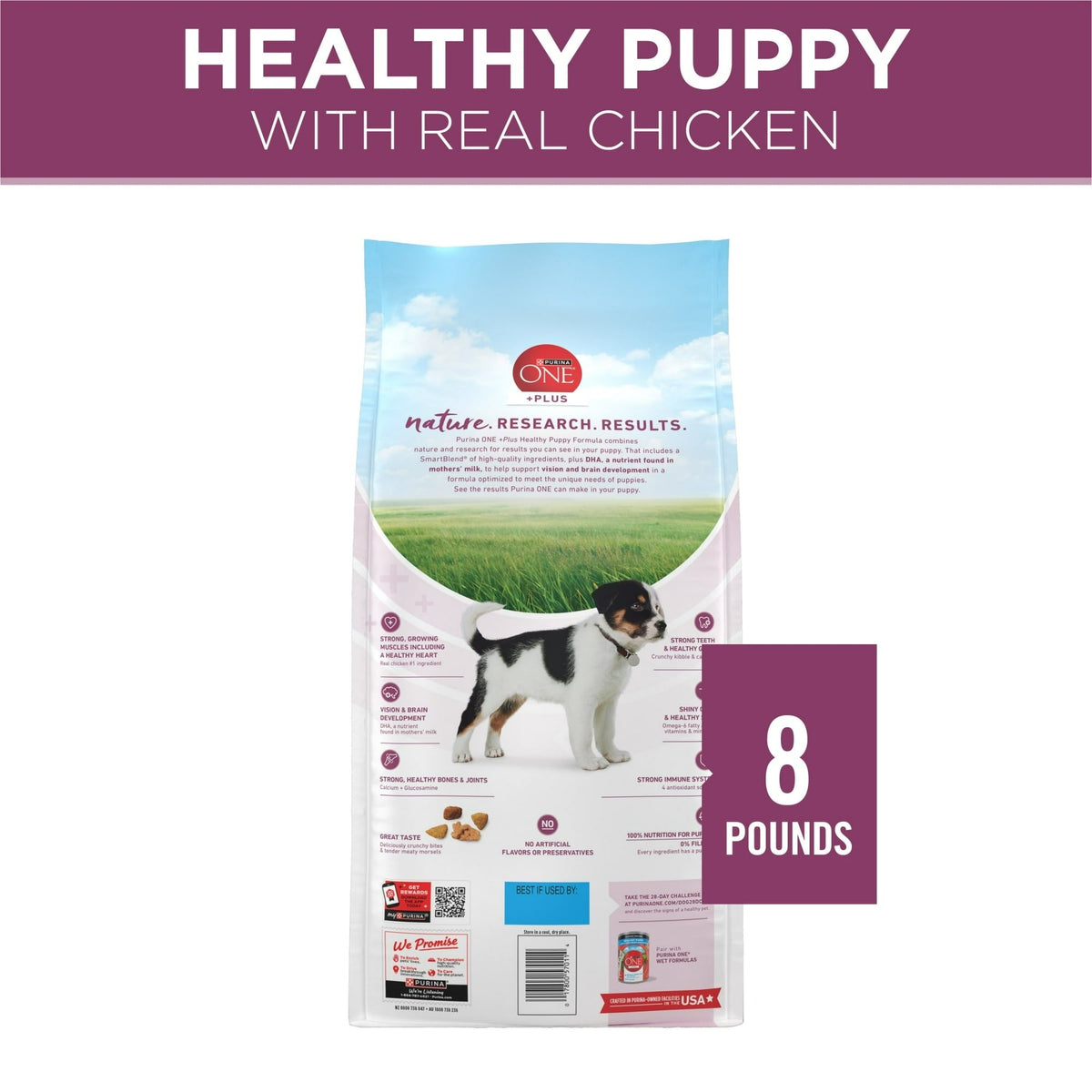 Purina ONE Plus Healthy Puppy Dry Dog Food, High Protein Growth Support with Real Chicken