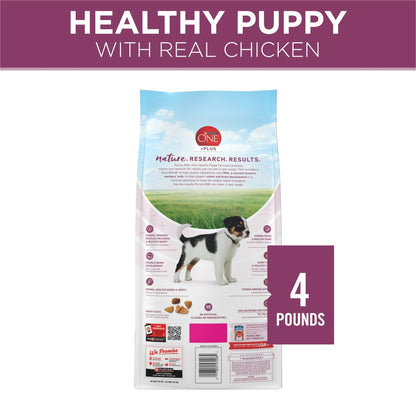 Purina ONE Plus Healthy Puppy Dry Dog Food, High Protein Growth Support with Real Chicken
