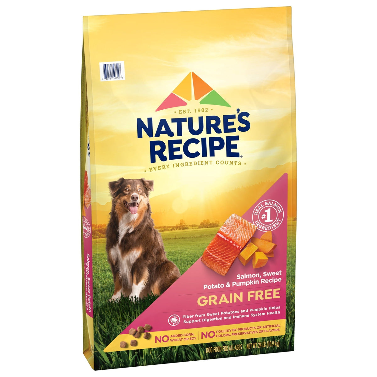 Nature's Recipe Grain Free Salmon, Sweet Potato & Pumpkin Dry Dog Food