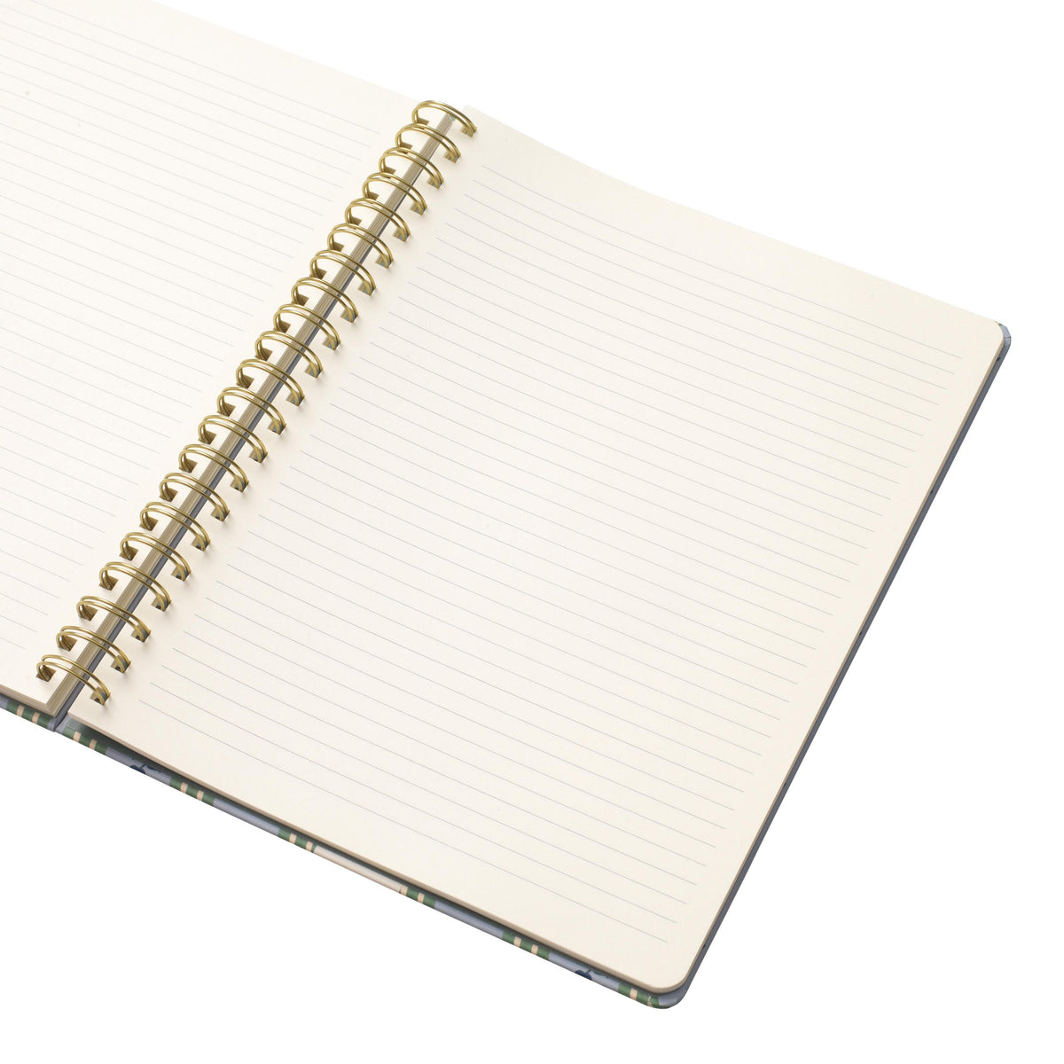 Papier To Go, College Ruled, Lined Notebook, Spiral, Hardcover, B5 Size - 7.1x 10", Stripe and Floral Print - Ric Rac, Blue