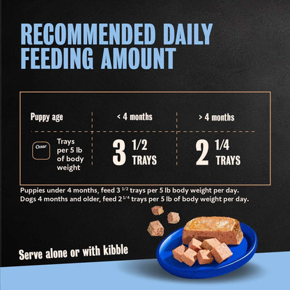 Cesar Classic Loaf In Sauce Chicken And Beef Recipe Wet Dog Food For Puppies, 3.5 Oz Tray