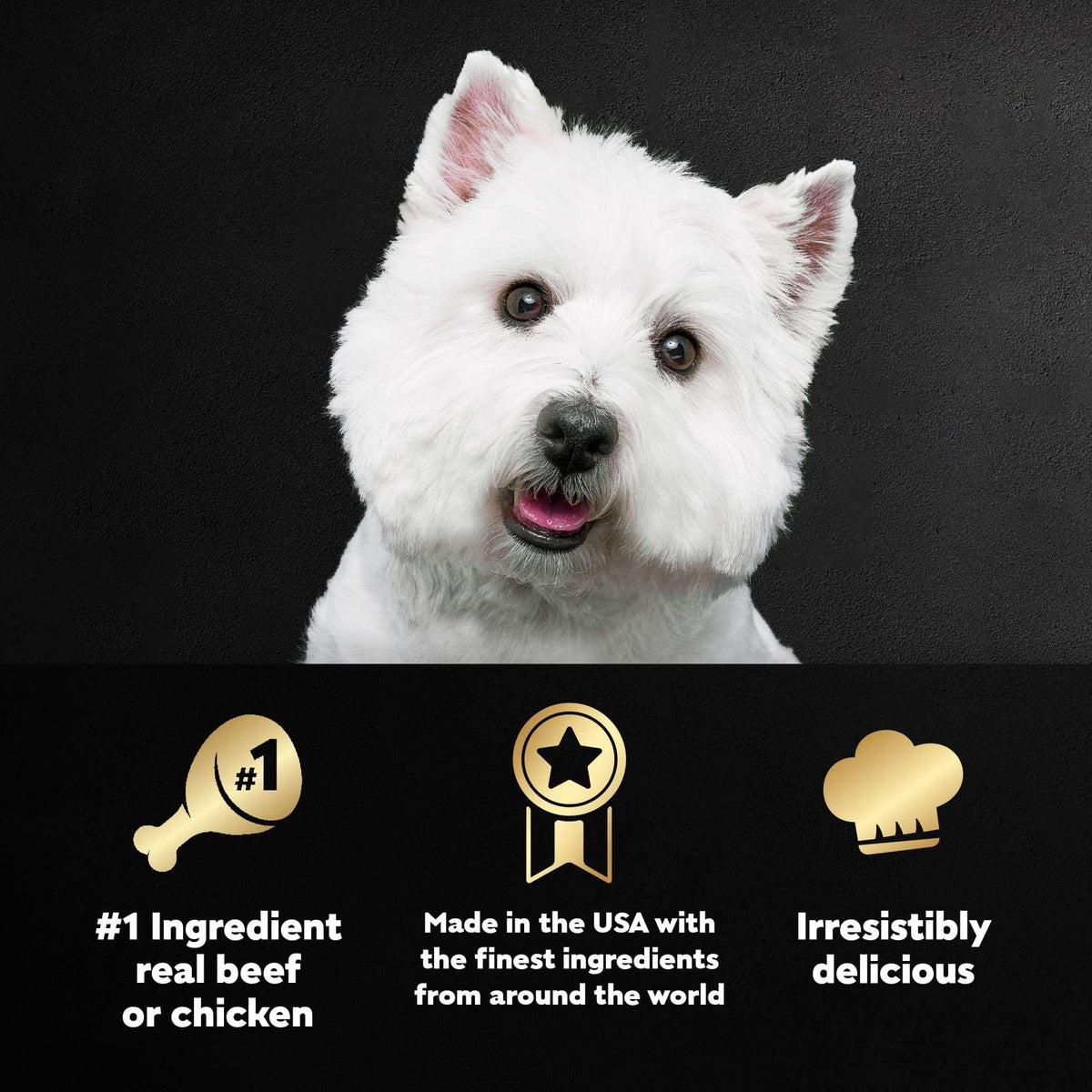 Cesar Classic Loaf In Sauce Wet Dog Food Variety Pack, 3.5 Oz Trays (24 Pack)