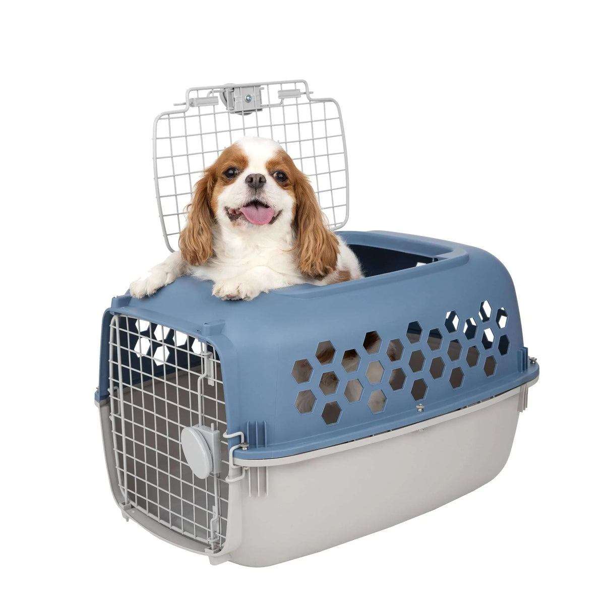 Vibrant Life Kennel for Dogs & Cats, Durable Plastic, Two Door Openings, Blue, Maximum Pet Weight 30 lbs, 24" L x 16.5" W x 14.5"H