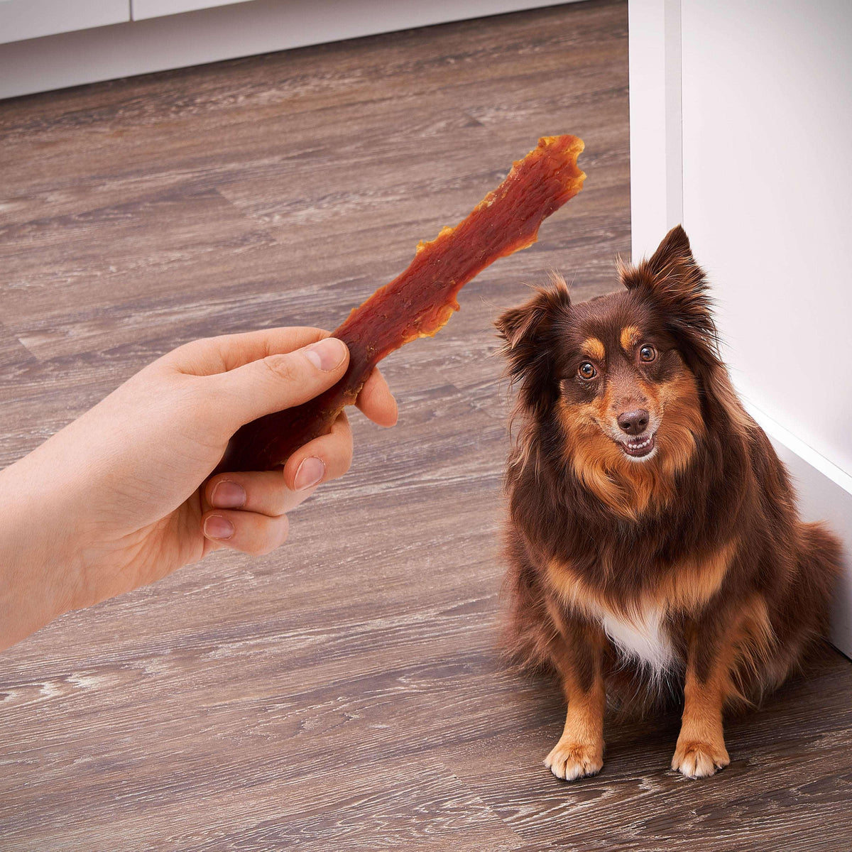 Golden Rewards Duck Jerky Premium Treats for Dogs, 16 oz Bag
