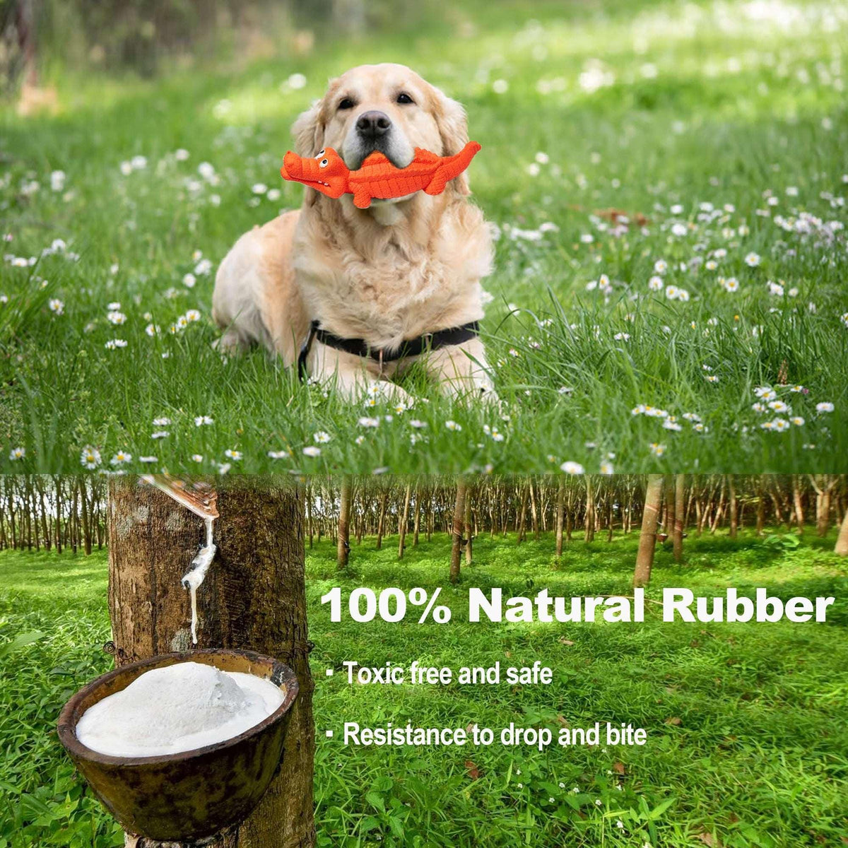 Pet Deluxe Squeaky Dog Toys for Aggressive Chewers, Durable Dog Toys Natural Rubber, Interactive Tough Dog Chew Crocodile Toy Teeth Cleaning for Medium Large Dogs