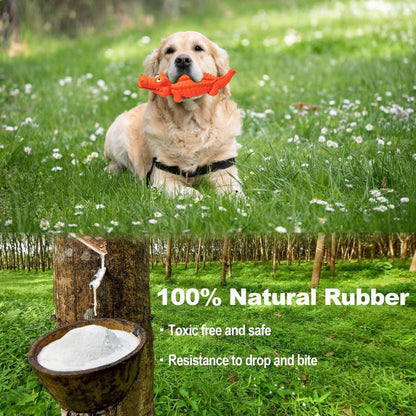 Pet Deluxe Squeaky Dog Toys for Aggressive Chewers, Durable Dog Toys Natural Rubber, Interactive Tough Dog Chew Crocodile Toy Teeth Cleaning for Medium Large Dogs