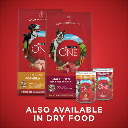 Purina ONE Tender Cuts in Gravy Chicken and Brown Rice, and Beef and Barley Entrees Wet Dog Food Variety Pack, 13 oz Cans ()