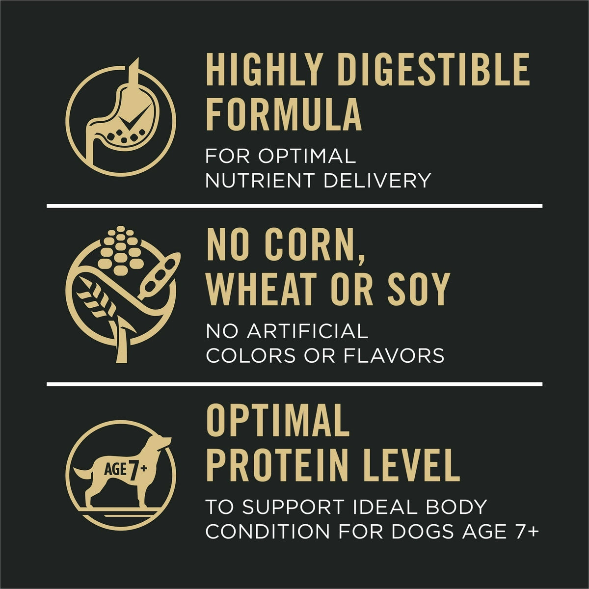 Purina Pro Plan Sensitive Skin and Sensitive Stomach Dog Food Senior Dogs Adult 7 Plus Salmon and Rice Formula