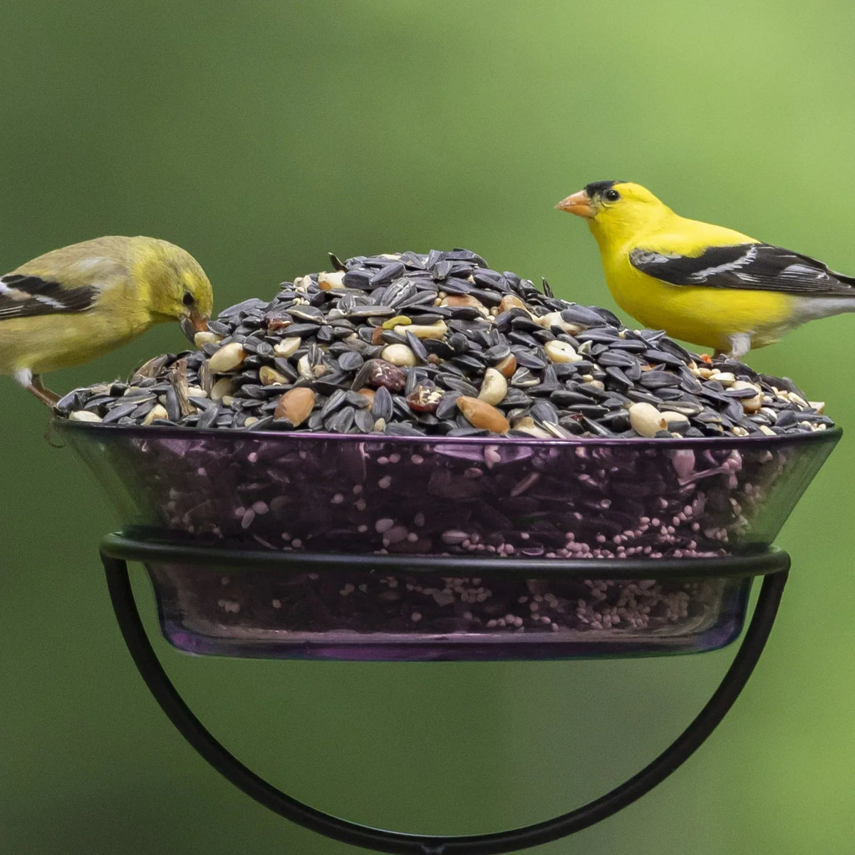 Audubon Park Nut, Fruit & Berry Wild Bird Food, Dry, 1 Count per Pack, 15 lb. Bag