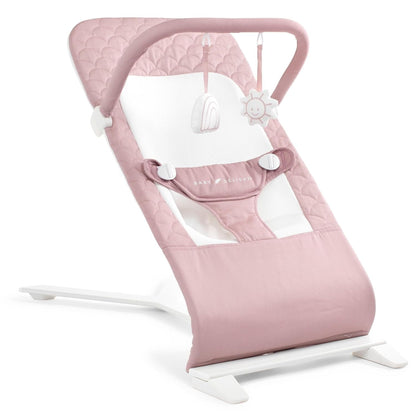 Baby Delight Alpine Deluxe Portable Baby Bouncer, for Infants 0-6 Months