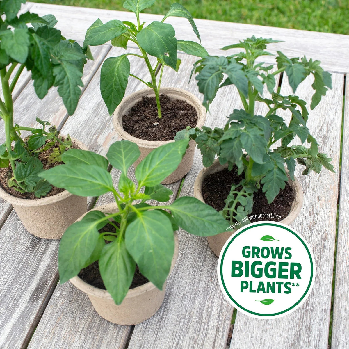 Back to the Roots Natural and Organic 3-in-1 Seed Starting Mix, Premium Blend Soil, 6qt