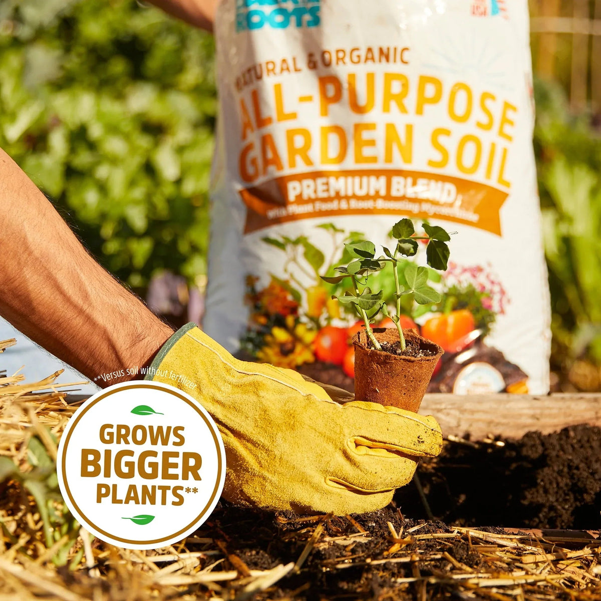 Back to the Roots Organic Premium Blend Garden Soil, 1 Cubic Foot Bag
