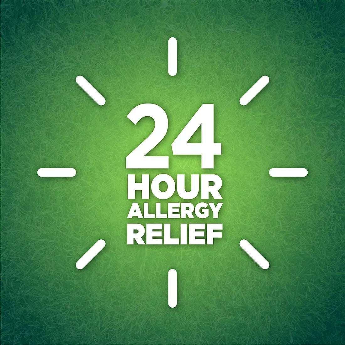 Berkley Jensen 24-Hour Allergy Relief Nasal Spray, 4 Count