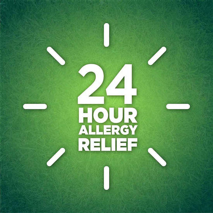 Berkley Jensen 24-Hour Allergy Relief Nasal Spray, 4 Count
