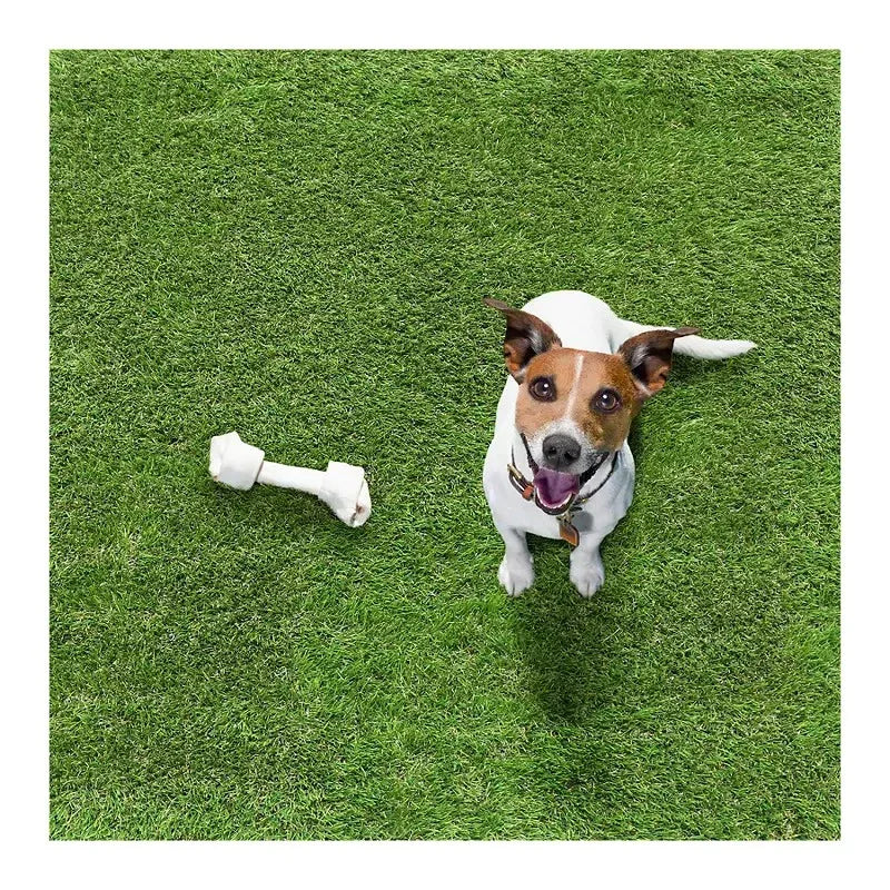 Berkley Jensen Charleston Artificial Grass 1.18" Pile Height