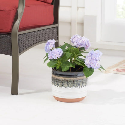 Better Homes & Gardens Round Black Ceramic Nikolaos Plant Planter