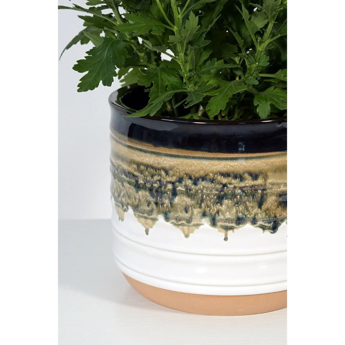 Better Homes & Gardens Round Black Ceramic Nikolaos Plant Planter