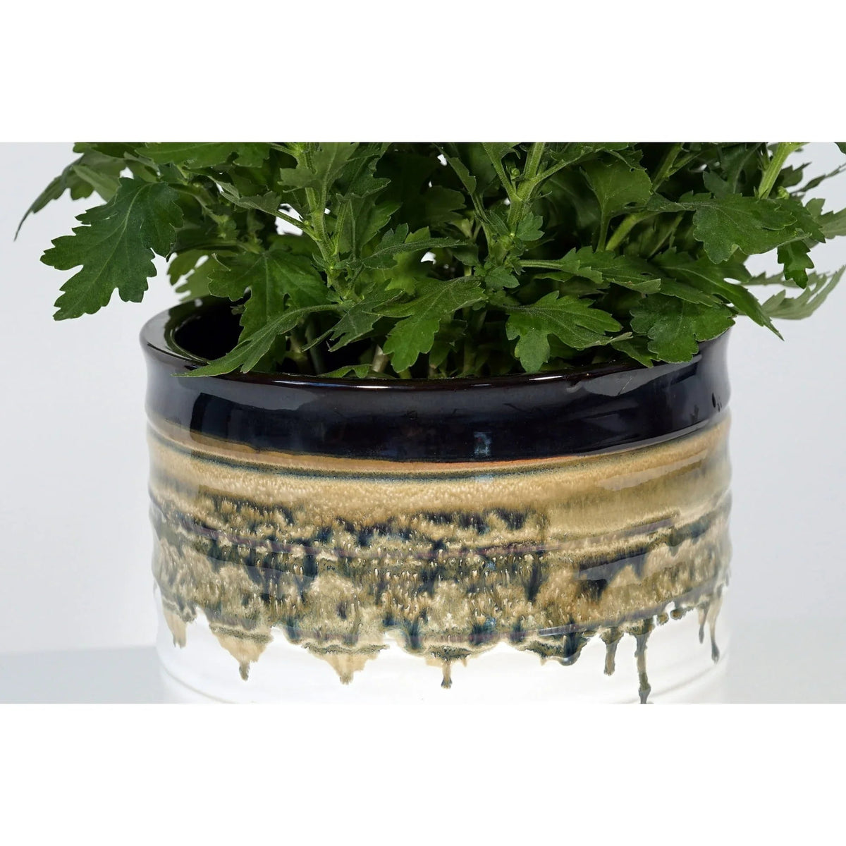 Better Homes & Gardens Round Black Ceramic Nikolaos Plant Planter