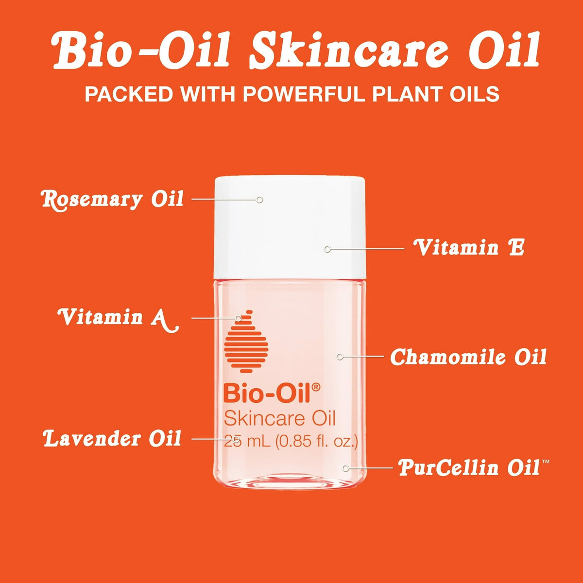 (3 PACK ) Bio-Oil Skincare Body Oil for Scars and Stretch Marks, Serum Hydrates Skin, 0.85 fl oz