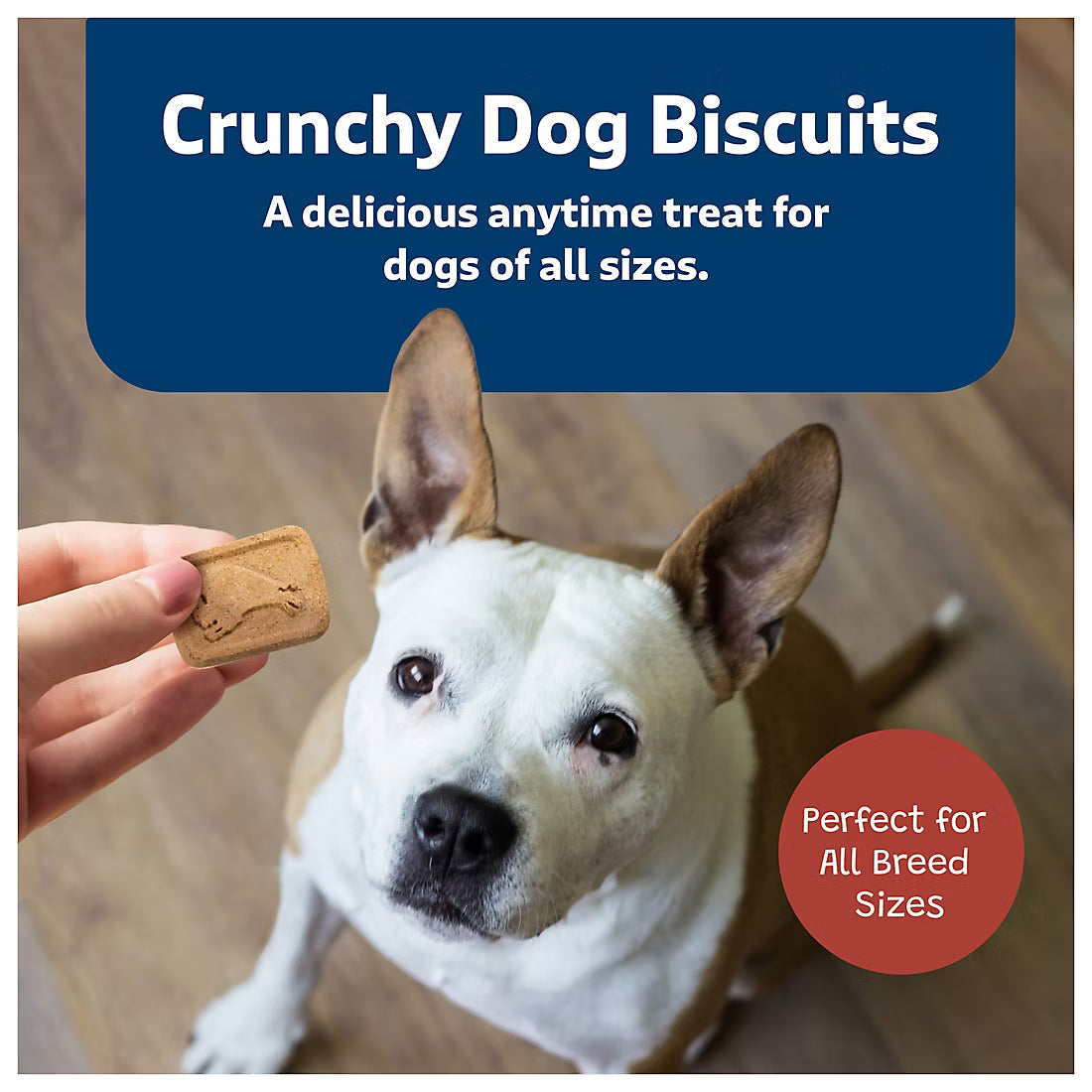 Blue Buffalo Health Bars Natural Crunchy Dog Treats Biscuits, Bacon, Egg & Cheese, 5 lbs.