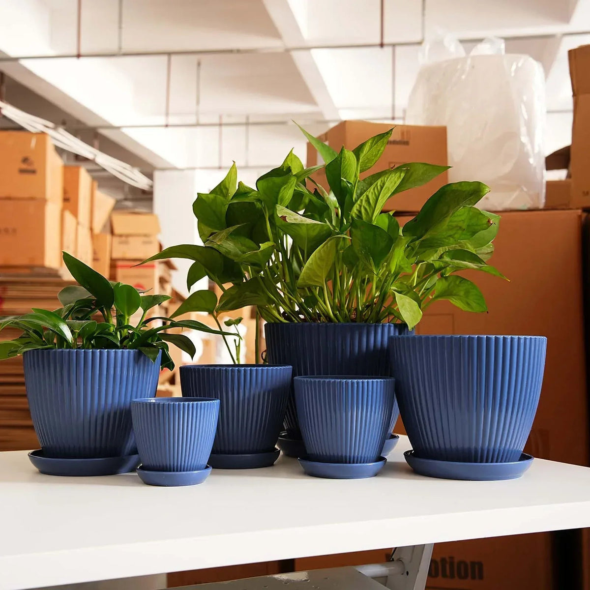Clearance! Flower Pots Indoor Thicken Planter with Hole and Tray for All House Plants Reliable Plastic Ripple Pattern Flowerpot for Home Garden Housewares, Dark Blue 9*8CM
