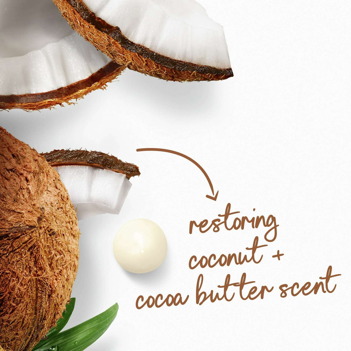 Dove Body Wash for Women Moisturizing Restore Coconut & Cocoa Butter Cleanser All Skin, 20 oz