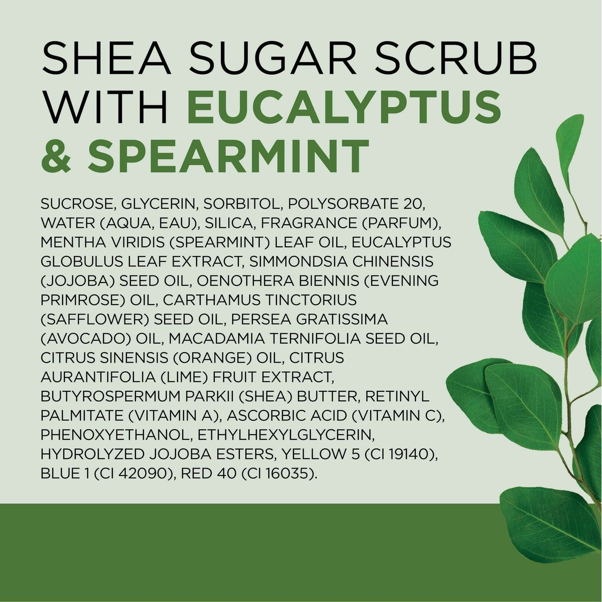Dr Teal's Shea Sugar Body Scrub with Eucalyptus and Spearmint, 19 oz