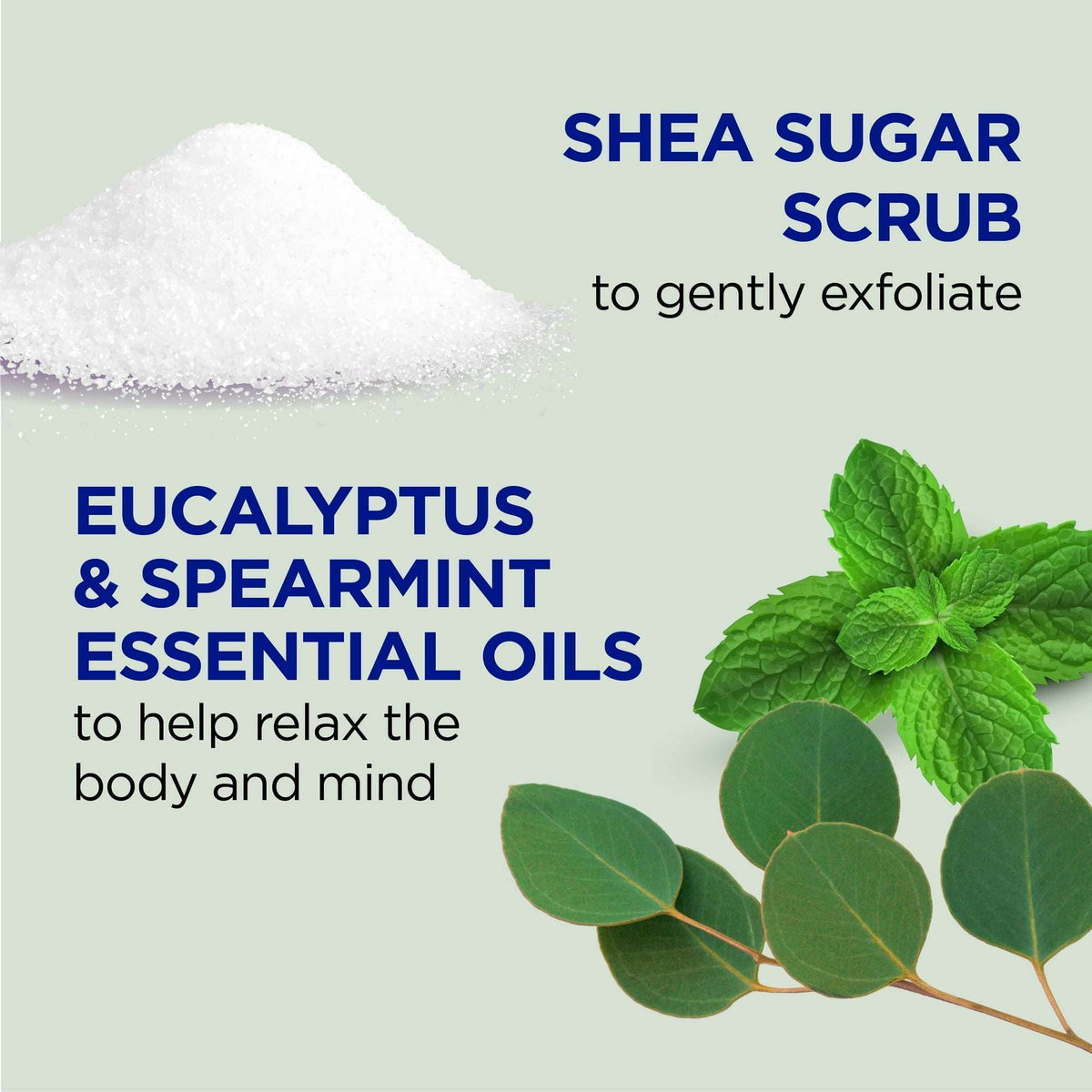 Dr Teal's Shea Sugar Body Scrub with Eucalyptus and Spearmint, 19 oz