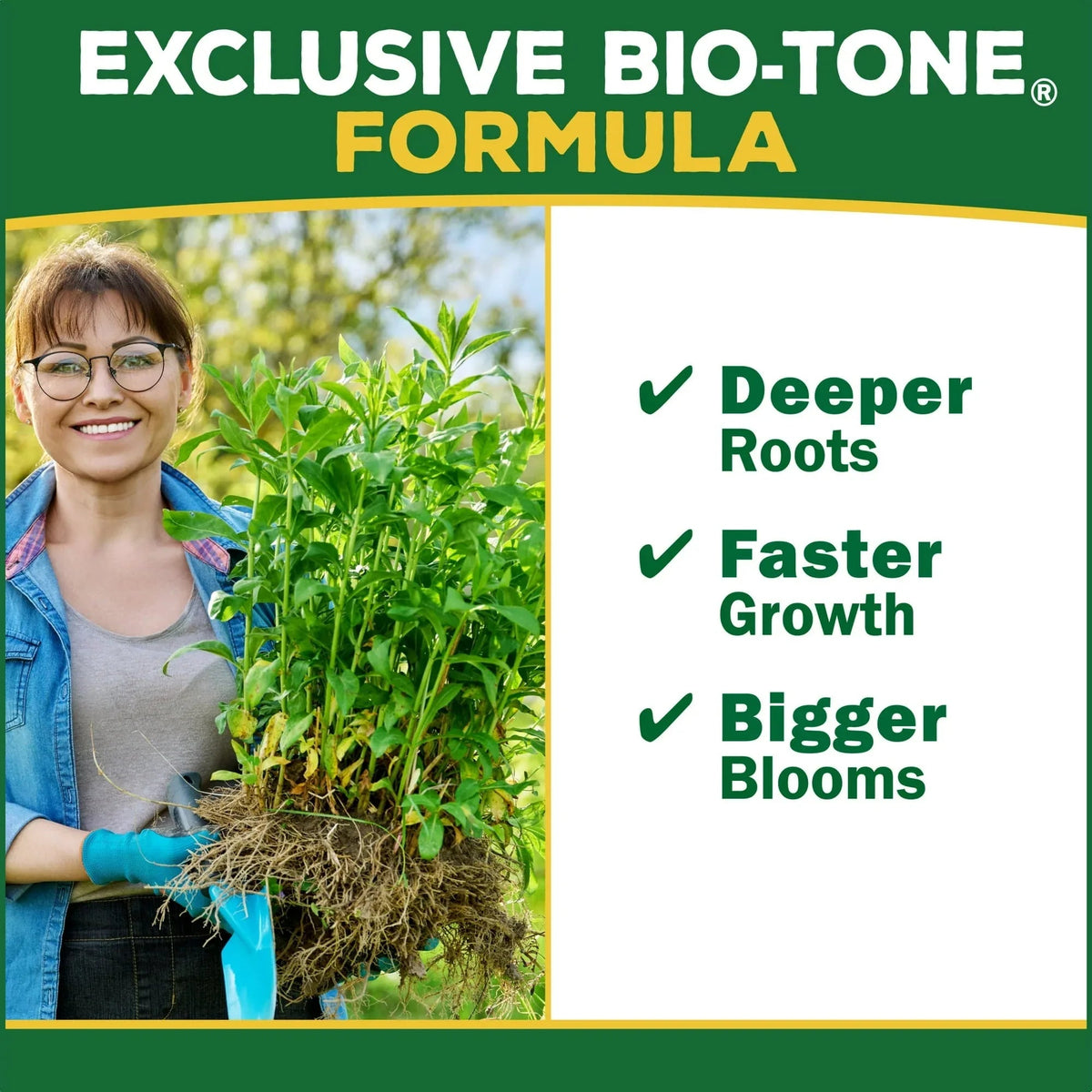 Espoma Organic Holly-Tone for Evergreen & Azalea Plant Food, 4-3-4 Fertilizer, 8 lb.