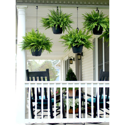 Expert Gardener 20-24" Wide Boston Fern Live Plant in 1.5-Gallon Grower Pot